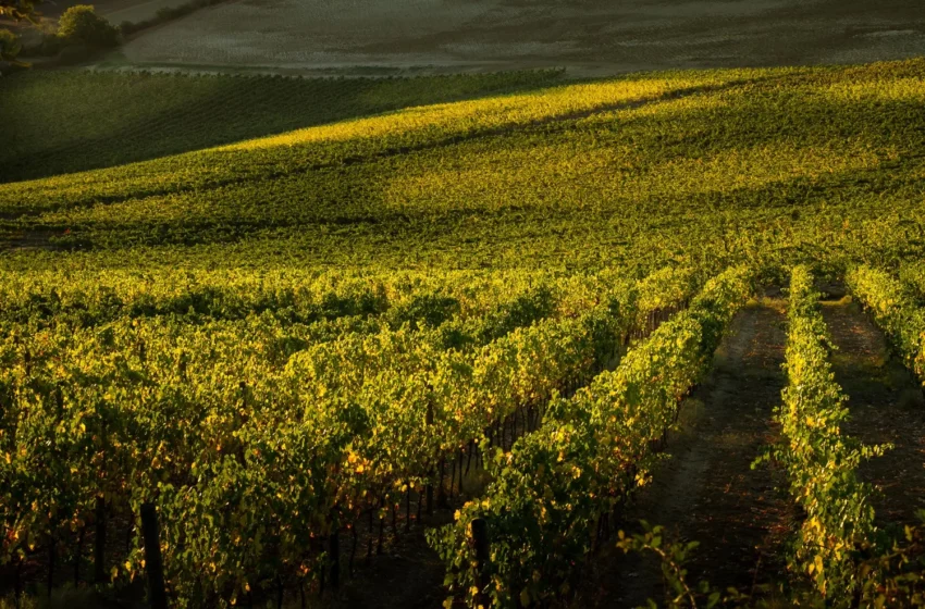  Europe Group Tours From the USA: How to Choose