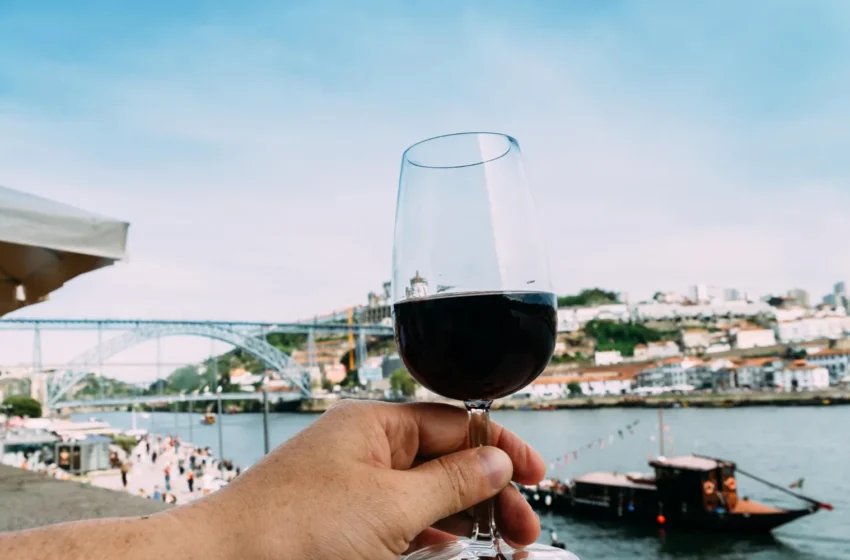  Visiting the Douro Valley Vineyards